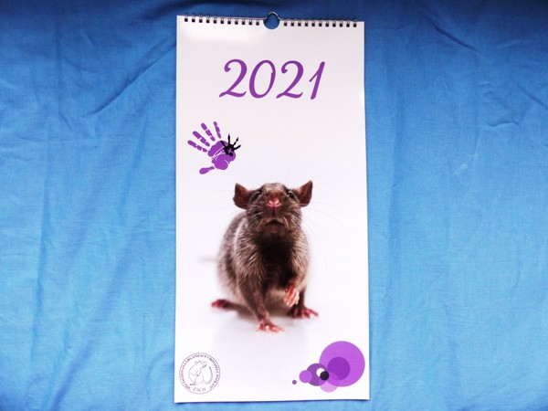 Rodinný plánovací kalendář POTKANI 2021