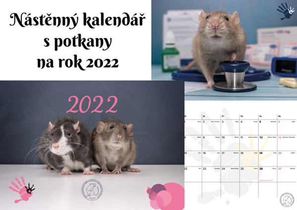 Nástěnný kalendář POTKANI 2022