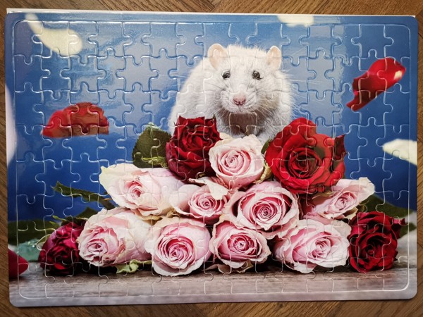 Puzzle A4 "Potkan a růže"