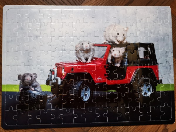 Puzzle A4 "Potkaní mláďata a auto"