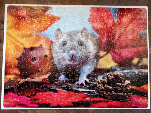 Puzzle A3 "Podzimní potkan"