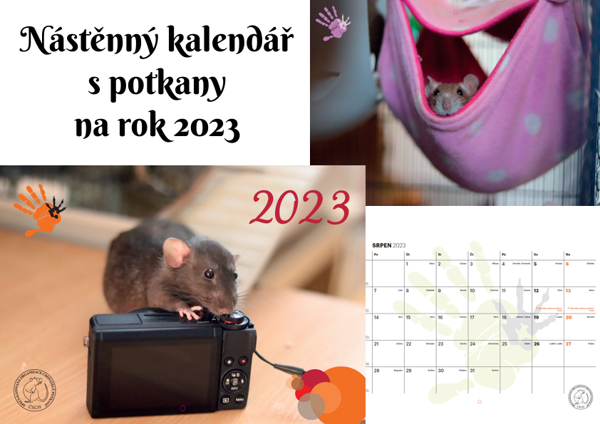Nástěnný kalendář POTKANI 2023 - PŘEDOBJEDNÁVKA