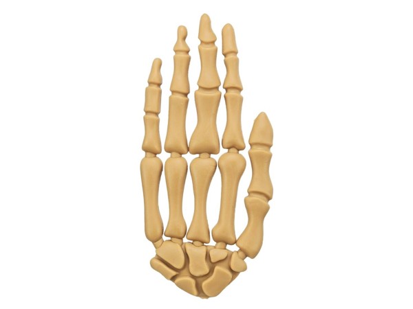 Kuřecí pamlsek Kostra ruky 15 cm / 70 g