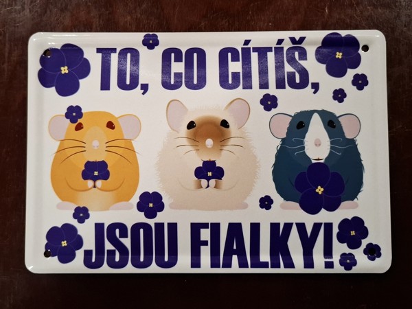 Plechová cedulka "Fialky" 15 x 10 cm