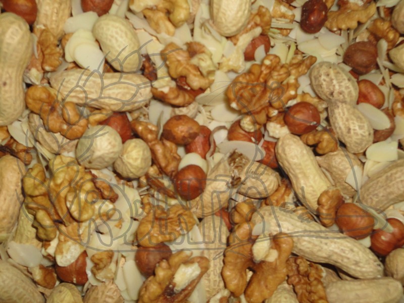 Ořechová směs 100 g